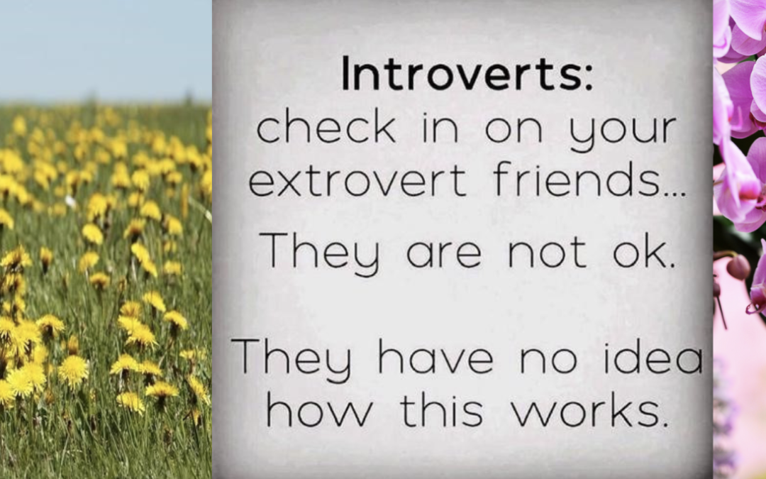 Introverts, Extroverts, Dandelions and Orchids